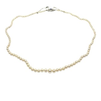 Antique jewelry - Antique Pearls necklace