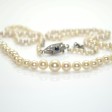 Antique jewelry - Antique Pearls necklace