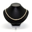 Antique jewelry - Antique Pearls necklace