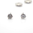 Recent jewelry - Diamond Earrings