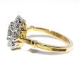Engagement rings - Pompadour Diamond Ring 