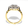 Engagement rings - Pompadour Diamond Ring 