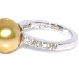 Recent jewelry - Gold Pearl Ring 