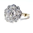 Engagement rings - Pompadour Diamond Ring 