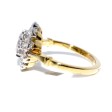 Engagement rings - Pompadour Diamond Ring 
