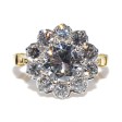 Engagement rings - Pompadour Diamond Ring 