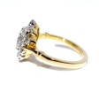 Engagement rings - Pompadour Diamond Ring 