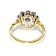 Engagement rings - Pompadour Diamond Ring 