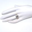 Engagement rings - Pompadour Diamond Ring 