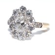 Engagement rings - Pompadour Diamond Ring 