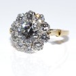 Engagement rings - Pompadour Diamond Ring 