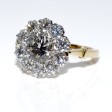 Engagement rings - Pompadour Diamond Ring 
