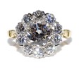 Engagement rings - Pompadour Diamond Ring 