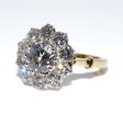 Engagement rings - Pompadour Diamond Ring 