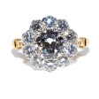 Engagement rings - Pompadour Diamond Ring 