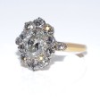 Engagement rings - Pompadour Diamond Ring 