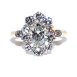 Engagement rings - Pompadour Diamond Ring 
