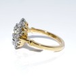Engagement rings - Pompadour Diamond Ring 