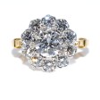 Engagement rings - Pompadour Diamond Ring 