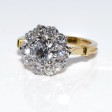 Engagement rings - Pompadour Diamond Ring 
