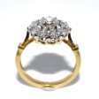 Engagement rings - Pompadour Diamond Ring 