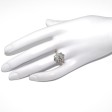 Engagement rings - Pompadour Diamond Ring 