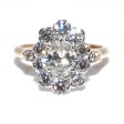 Engagement rings - Pompadour Diamond Ring 