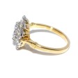 Engagement rings - Pompadour Diamond Ring 