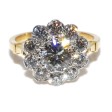 Engagement rings - Pompadour Diamond Ring 