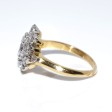 Engagement rings - Pompadour Diamond Ring 