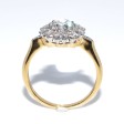 Engagement rings - Pompadour Diamond Ring 