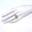 Engagement rings - Pompadour Diamond Ring 