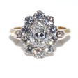 Engagement rings - Pompadour Diamond Ring 